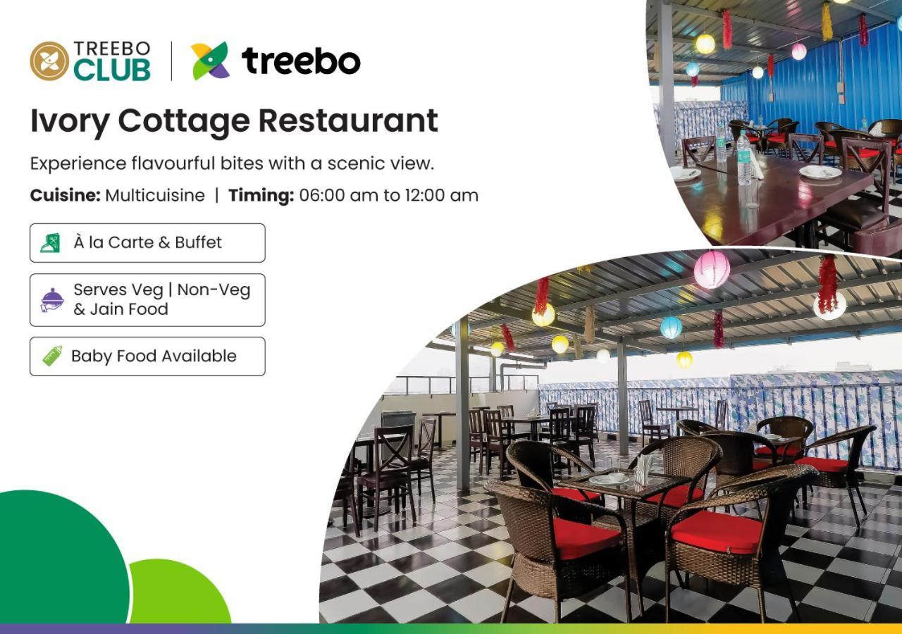 Treebo Rejoice 52 - 3Km From Huda City Metro Station Badshahpur 外观 照片